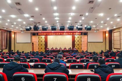 乐动LDSports股份公司召开2022年度党委书记抓基层党建工作述职暨领导班子和领导人员考核工作会